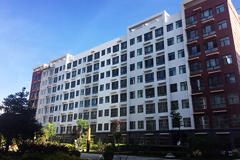 学校文化