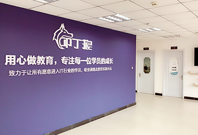 广州叩丁狼教育