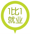 1比1就业