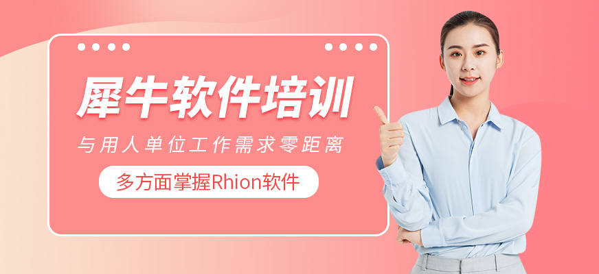 犀牛软件培训