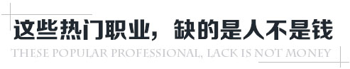 热门职业