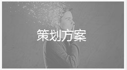 策划方案