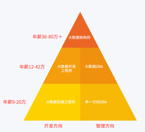 多种职业发展方向未来由你选择