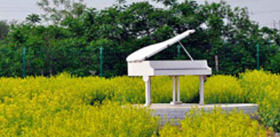 室外摄影基地