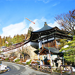 较高审美素养