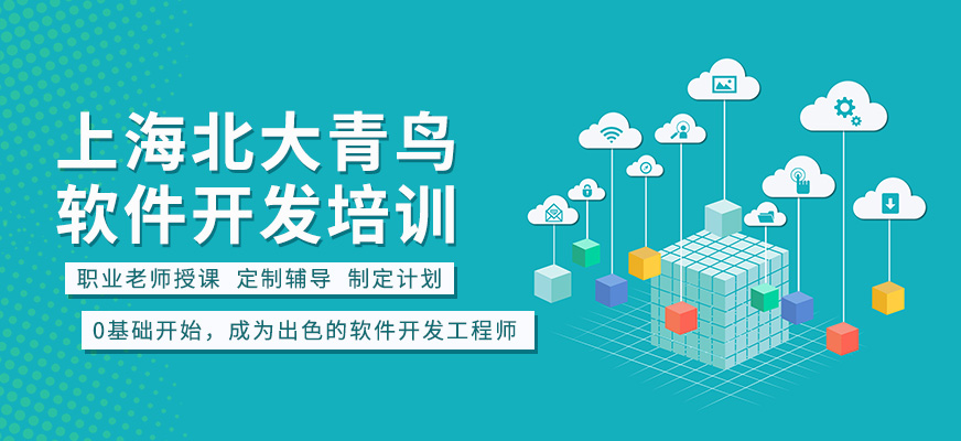 上海软件开发培训