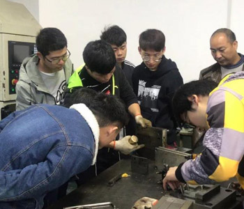 项目实训