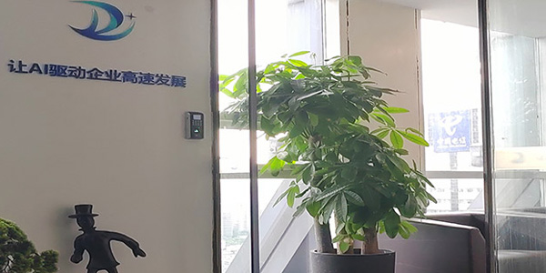 门面