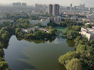 俯瞰图