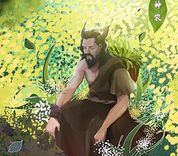 课程内容