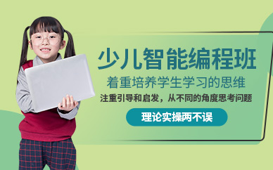广州少儿编程辅导班