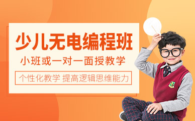 广州编辅侠少儿不插电编程课