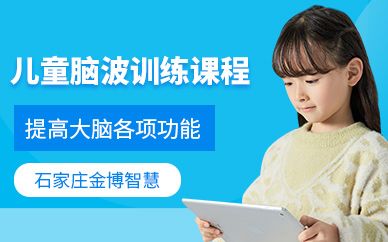 石家庄金博智慧儿童游戏脑力训练