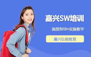 嘉兴SW培训