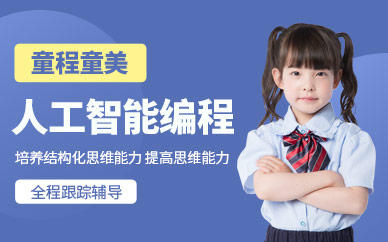 贵阳童程童美少儿人工智能编程培训