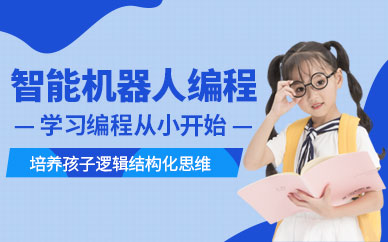 贵阳少儿机器人编程培训班