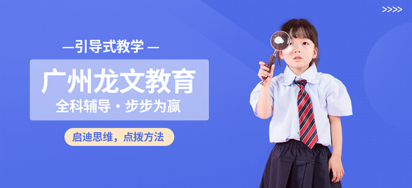龙文教育