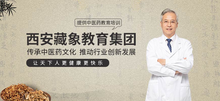 西安藏象教育