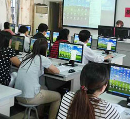 实战型授课