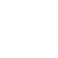 定制教学