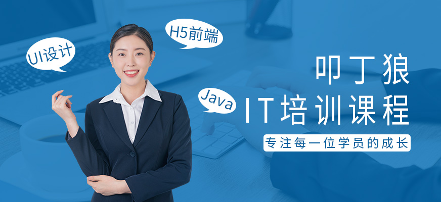 叩丁狼简介